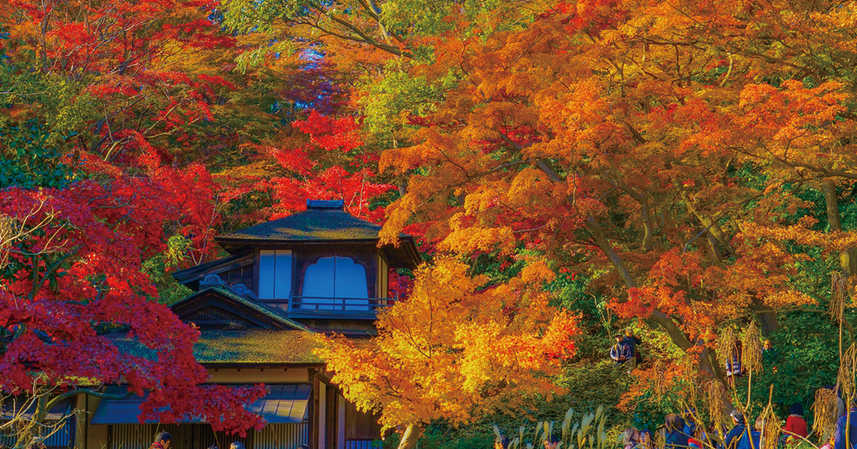 【日本語を書くこととは？】綺麗な字を書くために知っておいてほしい事