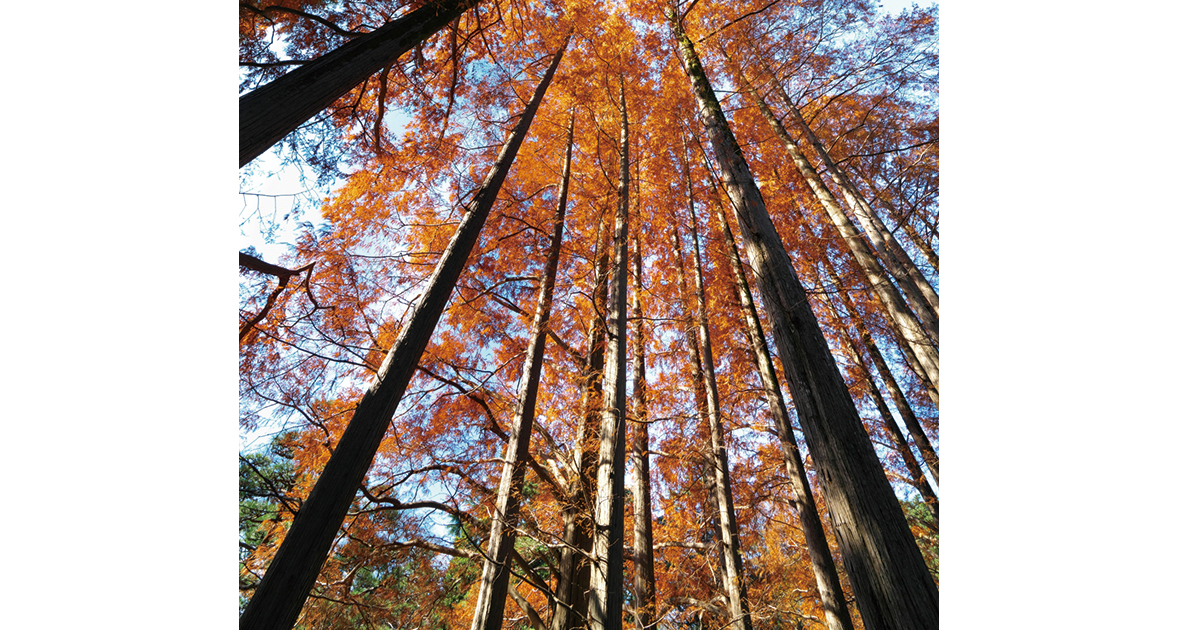 【ホントはタテ書きこそが…】綺麗な字を書くために知っておいてほしい事