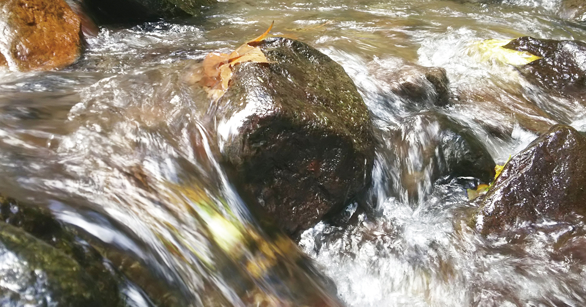 【止（留）まってはいけない！超大切な流れについて】綺麗な字の書き方