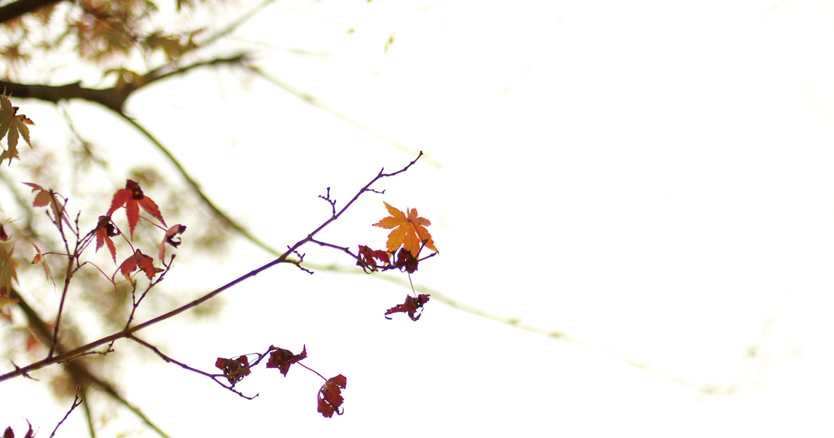 【白いスペース（余白）を意識すると良いこと】綺麗な字の書き方