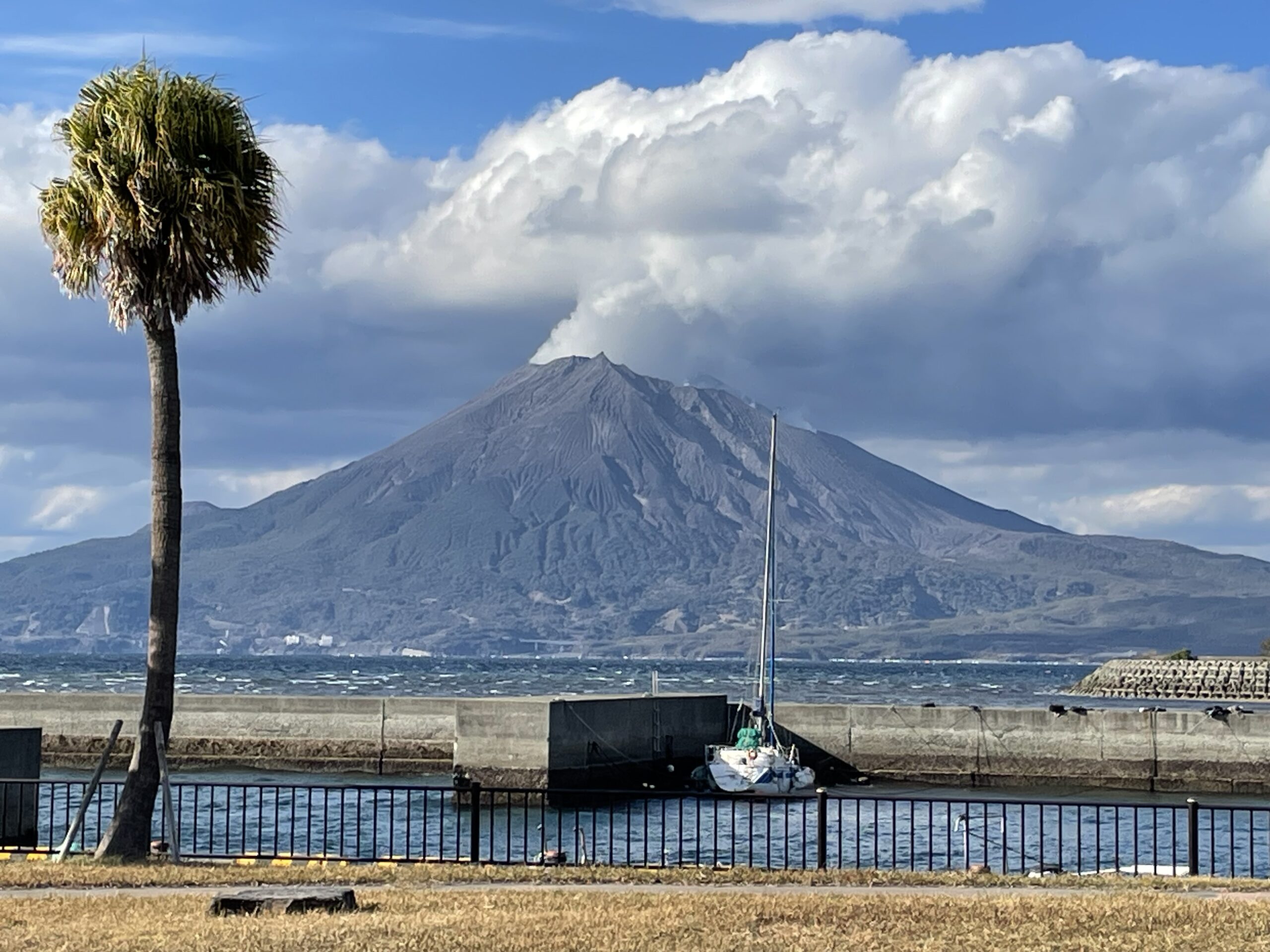 【私事で恐縮ですが…】京都から鹿児島へ引っ越しました